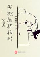 道友买把加特林吗评价